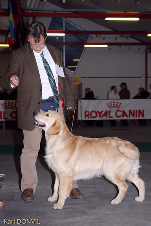 gal/Expo janvier 2007/KD1_0278.jpg